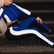 Lovely Casual Mandarin Collar Patchwork Blue Polye