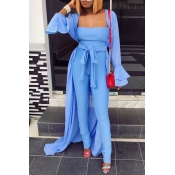 Lovely Casual Long Sleeves Blue Two-piece Pants Se