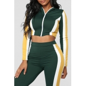 Lovely Casual Patchwork Green Two-piece Pants Set