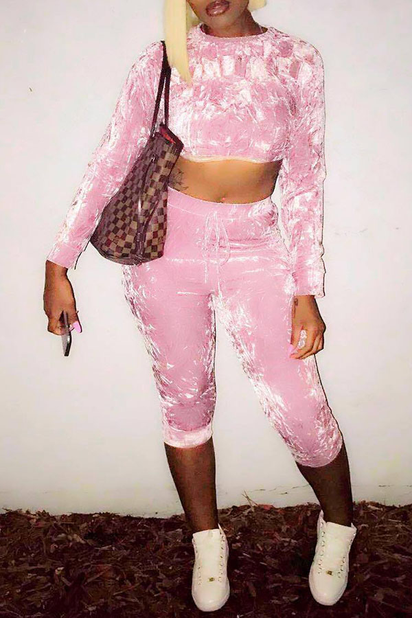 

Lovely Casual Long Sleeves Pink Velvet Two-piece Pants Set