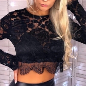 Lovely Casual Hollowed-out Black Knitting Shirts