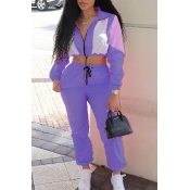 Lovely Casual Patchwork Purple Two-piece Pants Set