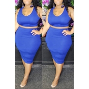 Lovely Casual O Neck Sleeveless Blue Two-piece Ski
