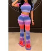 Lovely Casual Striped Printed Multicolor Two-piece