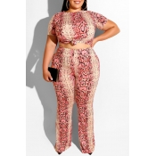 Lovely Casual Snakeskin Pattern Printed Pink Plus 