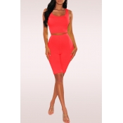 Lovely Casual U Neck Watermelon Red Two-piece Shor
