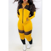 Lovely Casual Patchwork Yellow Two-piece Pants Set
