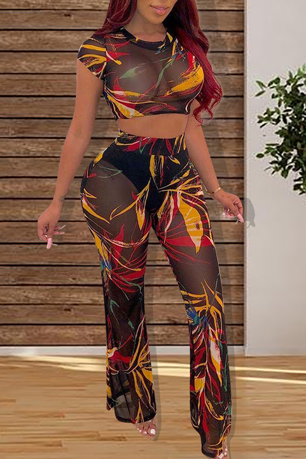 two piece pants set