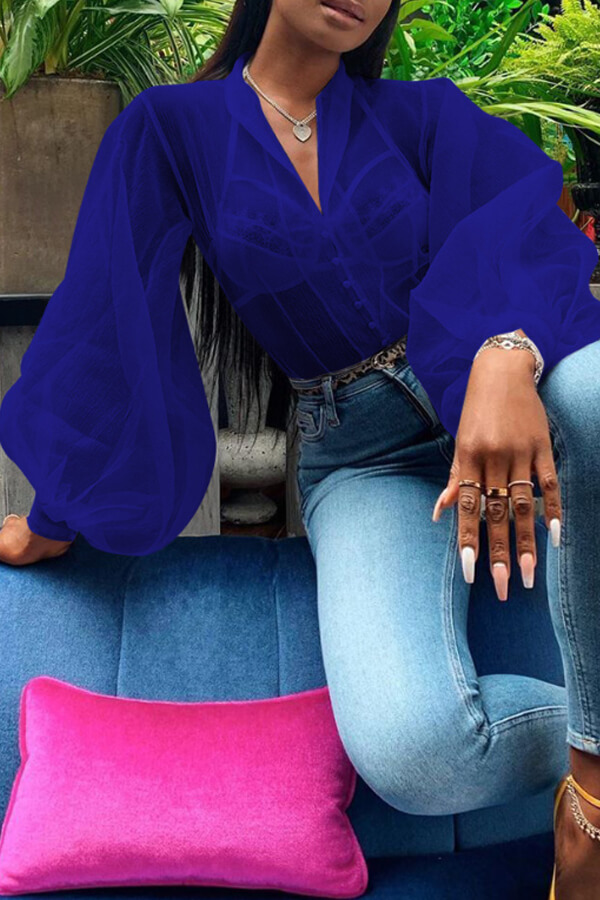 Lovely Sexy See-through Deep Blue Blouse