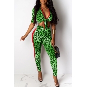 Lovely Casual Leopard Printed Green Two-piece Pant