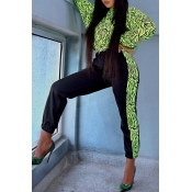 Lovely Casual Printed Green Two-piece Pants Set