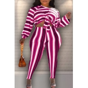Lovely Casual Striped Multicolor Two-piece Pants S