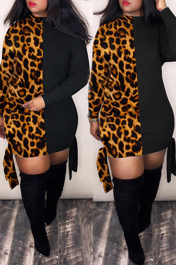 

Lovely Casual Leopard Printed Mini Dress