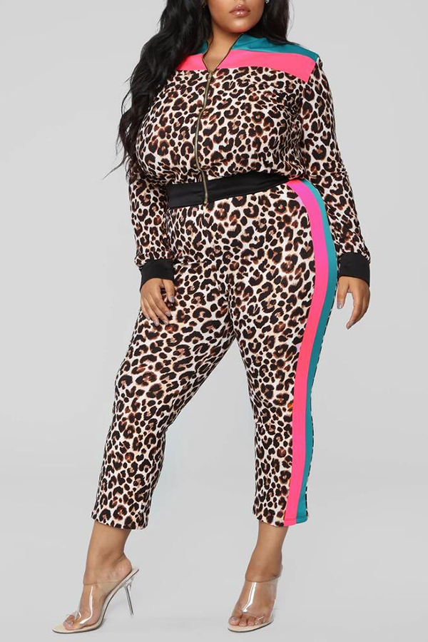 Lovely Casual Leopard Printed Plus Size Two-piece Pants Set_Plus Size ...