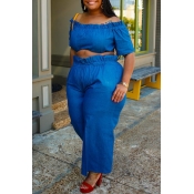 Lovely Casual Flounce Design Blue Plus Size Two-pi