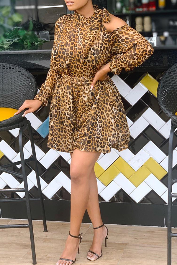 

Lovely Casual Leopard Printed Mini Dress