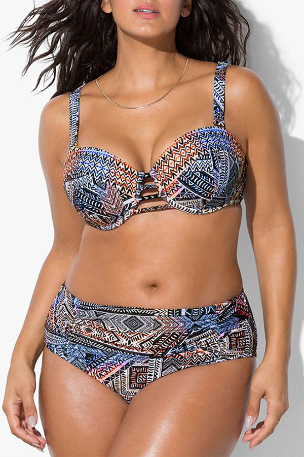 Cheap Plus Size Bikinis Lovely Printed Multicolor Plus Size Two-piece