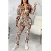 Lovely Casual Printed Brown Two-piece Pants Set