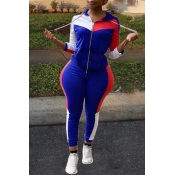 Lovely Casual Patchwork Blue Two-piece Pants Set