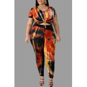 Lovely Chic Printed Multicolor Plus Size Two-piece