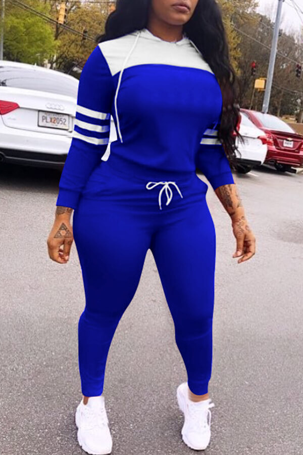 

Lovely Leisure Patchwork Blue Two-piece Pants Set