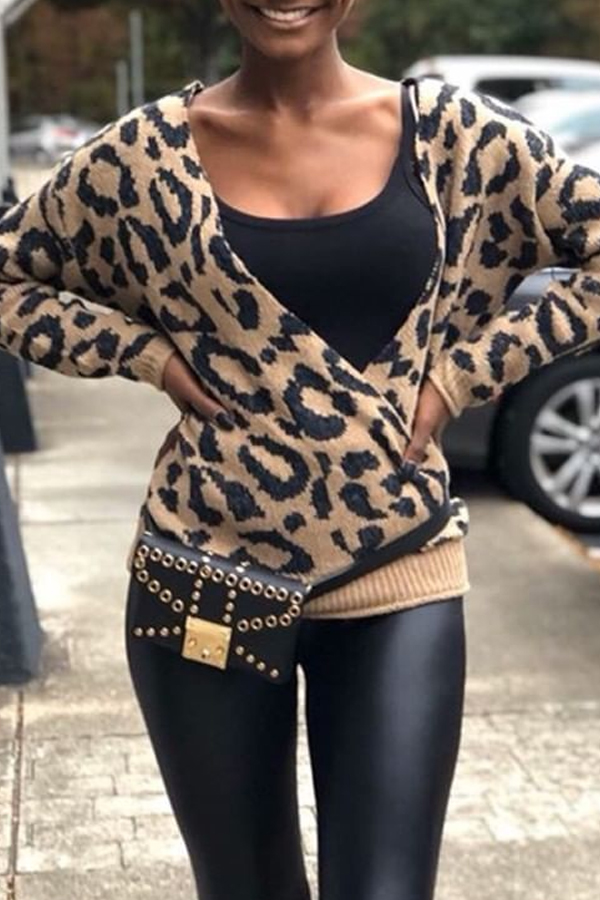 Lovely Casual V Neck Leopard Brown Sweater