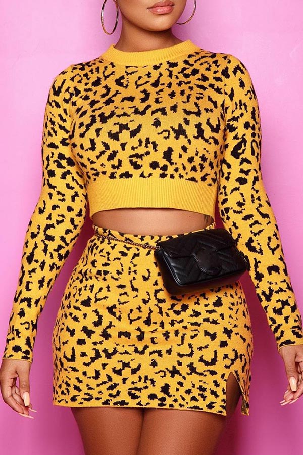 

Lovely Casual Leopard Skinny Two-piece Skirt Set