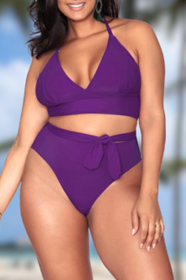 

Lovely V Neck Purple Plus Size Two-piece Swimwear
