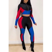 Lovely Casual Patchwork Red Two-piece Pants Set