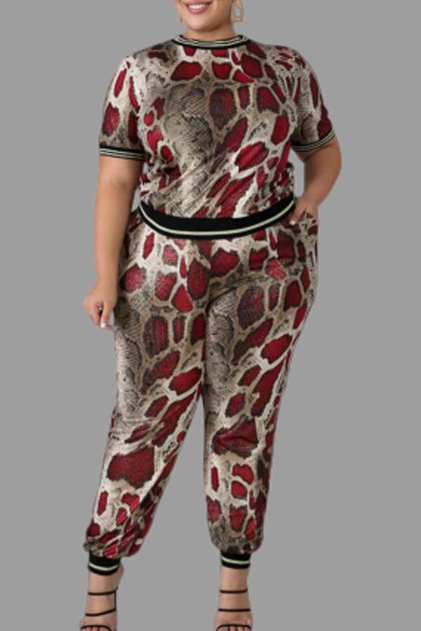 

Lovely Casual Snakeskin Print Plus Size Two-piece Pants Set, Cobra