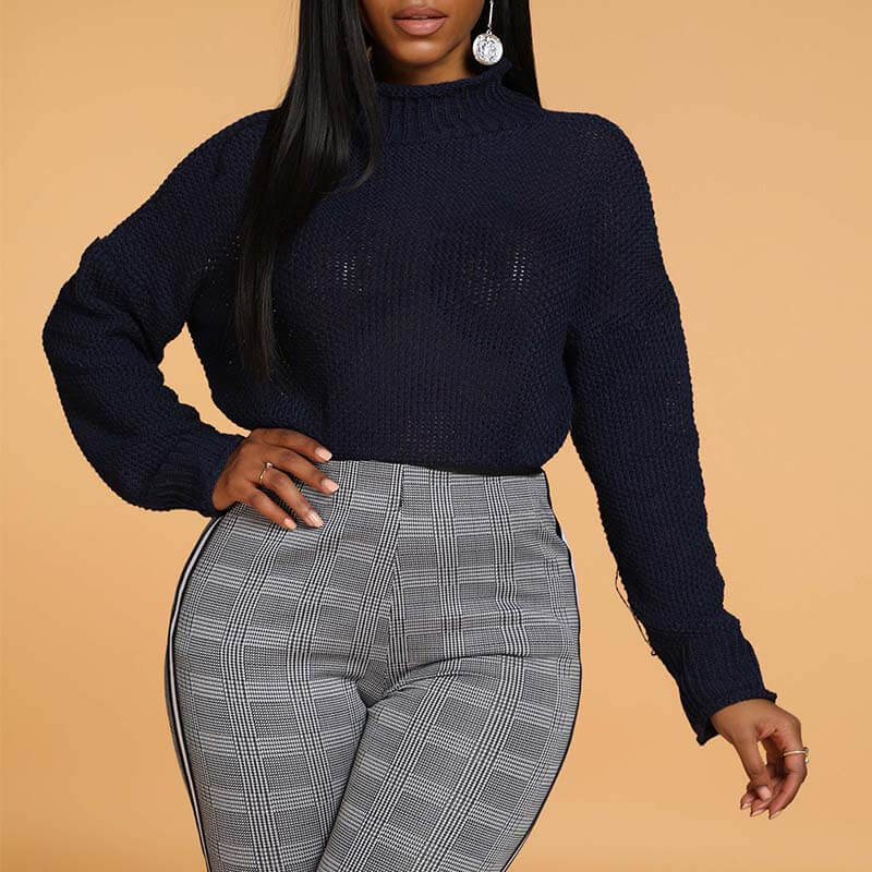 

Lovely Casual Basic Navy Blue Sweater