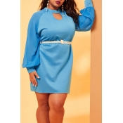 Lovely Chic O Neck Baby Blue Plus Size Mini Dress(