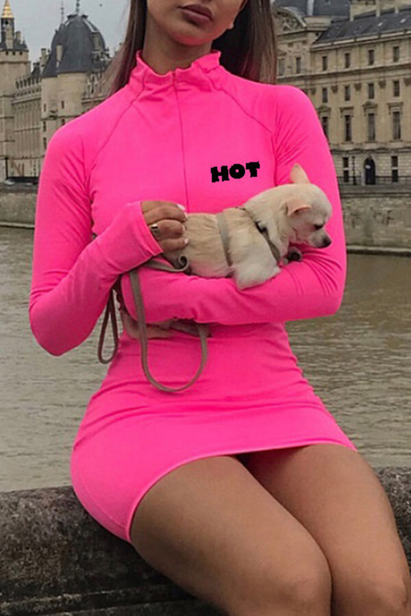 

Lovely Chic Mandarin Collar Basic Pink Mini Dress