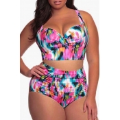 Lovely Basic Multicolor Plus Size Two-piece Swimsu