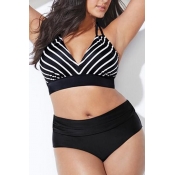 Lovely Striped Plus Size Two-piece Swimsuit