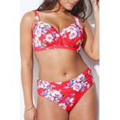 Lovely Print Red Plus Size Two-piece Swimsuit
