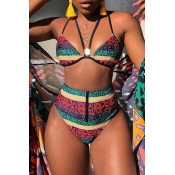 Lovely Print Multicolor Two-piece Swimsuit