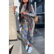 Lovely Chic Print Skinny Multicolor Two-piece Pant