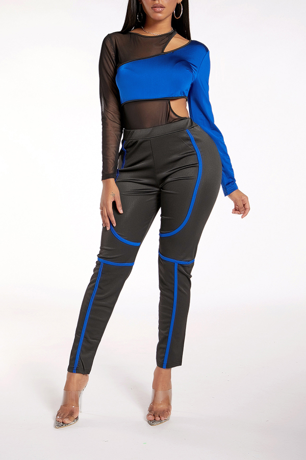 

Lovely Leisure Patchwork Blue Two-piece Pants Set