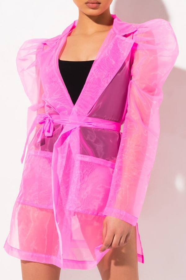 

Lovely Trendy See-through Pink Mini Dress