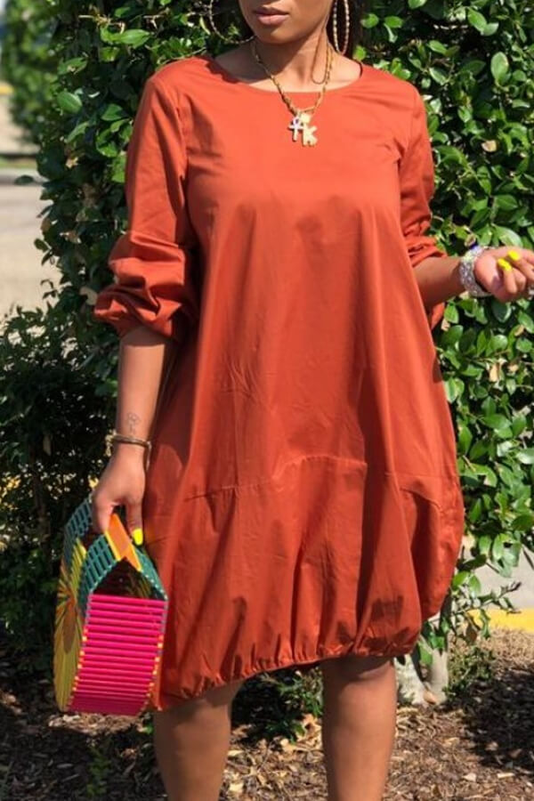 

Lovely Casual O Neck Loose Brown Knee Length Dress