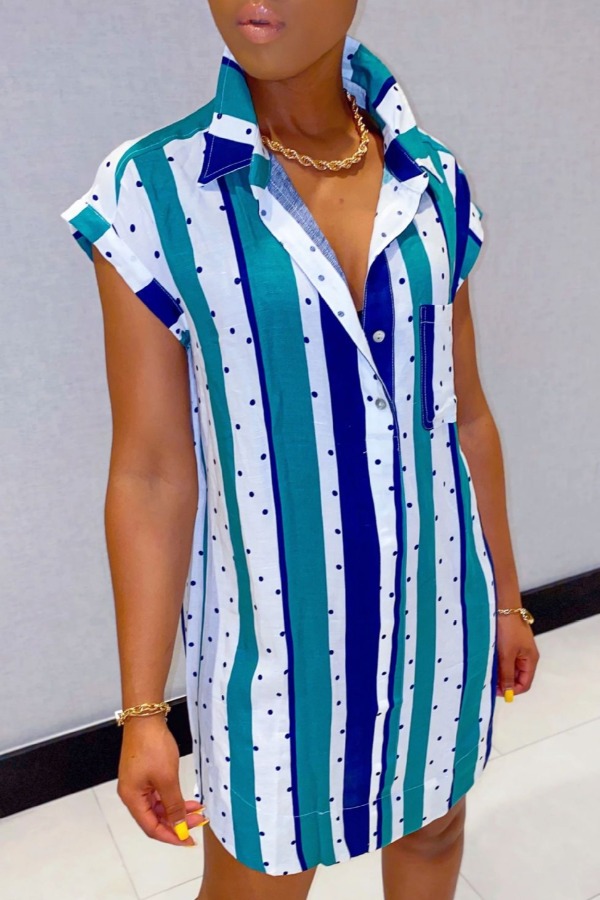 

Lovely Casual Striped Print Blue Mini Dress