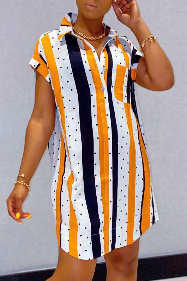 

Lovely Casual Striped Print Croci Mini Dress