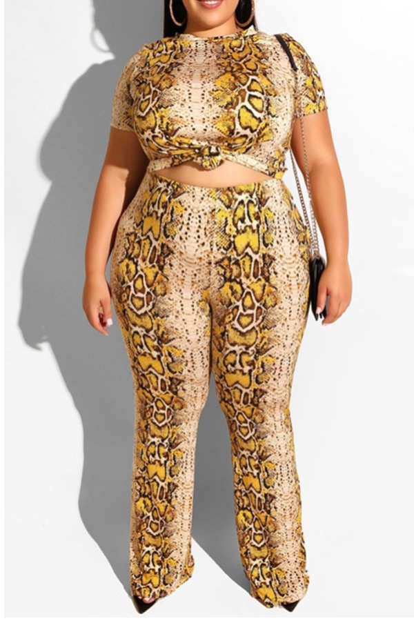 

Lovely Stylish Print Apricot Plus Size Two-piece Pants Set