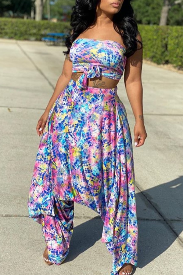 

lovely Trendy Floral Print Multicolor Plus Size Two-piece Pants Set, Multi