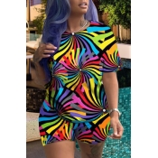 Lovely Casual Print Multicolor Plus Size Two-piece