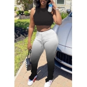 LW Casual Gradual Change Black Two-piece Pants Set