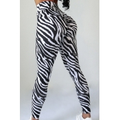 lovely Sportswear Zebra Stripe Pants