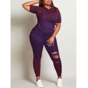 lovely Casual Broken Holes Purple Plus Size Two-pi