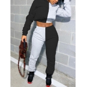 LW Patchwork Crop Top Sweatsuit Set